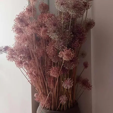 فندق مبيت وإفطار Perles *