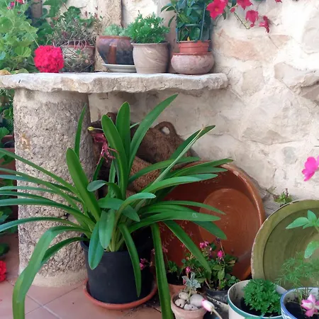 Perles 4* Tàrbena